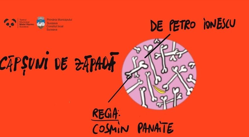 Publicul urcă pe scenă la spectacolul „Căpșuni de zăpadă”. Bună Dimineața cu Adina Șuhan