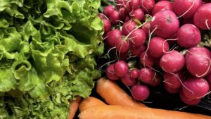 Corneliu Hoșliag, legumicultor de la Târgu Frumos, în matinal cu Adina Șuhan