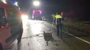 (FOTO) VASLUI: Accident rutier cu trei victime în localitatea Sălcioara, comuna Banca