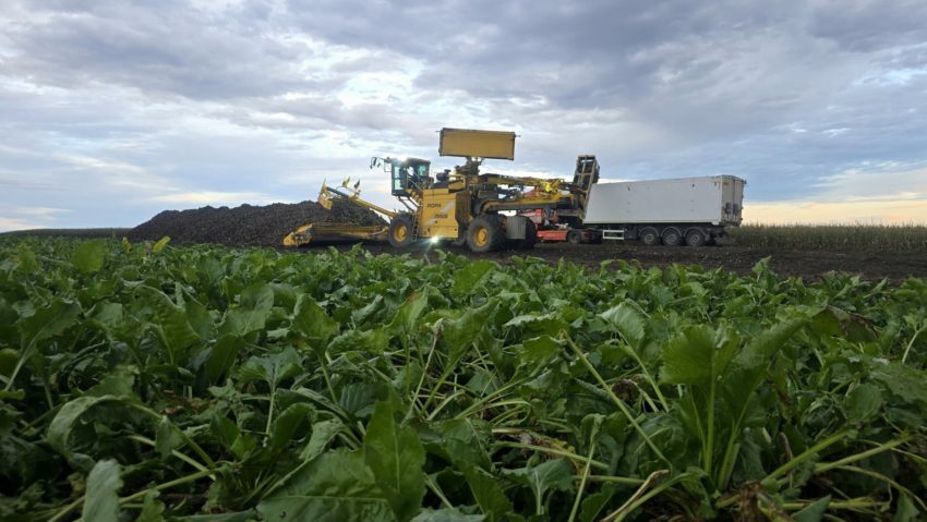 (AUDIO) VASLUI: AFIR pune în dezbatere un nou program de finanțare pentru tinerii fermieri