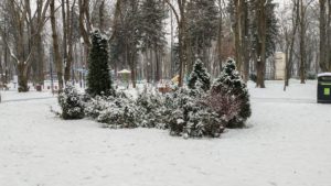 Atenționare pentru Moldova: Ger și vreme deosebit de rece, cu ghețuș și intensificări ale vântului