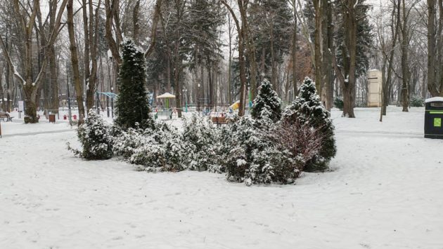Răcire accentuată în Moldova, cu ninsori, vânt și polei