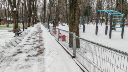 Cine curăță trotuarele la Iași? Cătălin Neculau, director Salubris Iași la Bună Dimineața