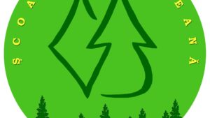 (AUDIO) Colegiul Silvic „Bucovina” din Câmpulung Moldovenesc va funcționa, din anul școlar viitor, cu două clase mai puțin