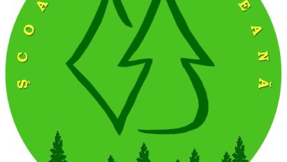 (AUDIO) Colegiul Silvic „Bucovina” din Câmpulung Moldovenesc va funcționa, din anul școlar viitor, cu două clase mai puțin