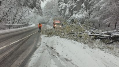 Bacău: Patru localităţi au rămas fără energie electrică din cauza condiţiilor meteo