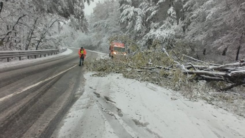 Bacău: Patru localităţi au rămas fără energie electrică din cauza condiţiilor meteo