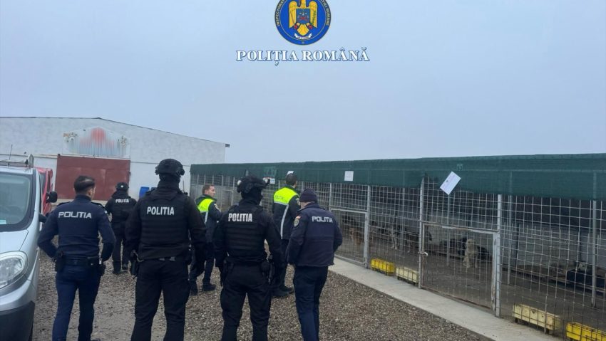 (FOTO) Șase descinderi domiciliare în Vrancea pentru fapte grave împotriva animalelor