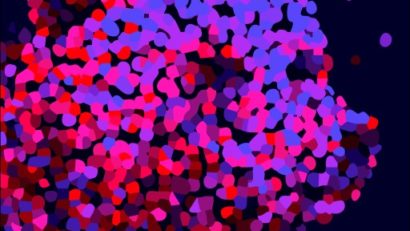 Berlinala 2026 / Palmaresul celei de-a 76-a ediţii