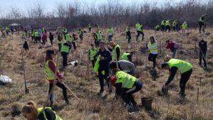 (AUDIO) Iași:  „Frații Codrului” – acțiune de împădurire dedicată naturii, educației și comunității