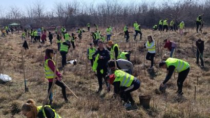 (AUDIO) Iași:  „Frații Codrului” – acțiune de împădurire dedicată naturii, educației și comunității