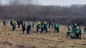 (AUDIO) Iași: Romsilva accelerează campania de reîmpădurire, adaptându-se noilor realități climatice