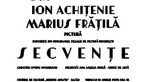 Expoziția „SECVENȚE”, Ion Achițenie și Marius Frățilă