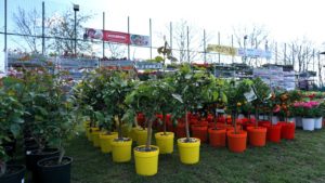 (AUDIO/FOTO) Universitatea de Științele Vieții din Iași găzduiește „GardenFest”