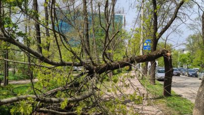 Vântul puternic a produs mai multe pagube în localități din regiunea Moldovei