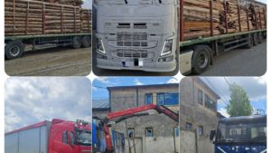 (AUDIO/FOTO) Rețea de transport ilegal de lemn, destructurată de polițiștii din Neamț