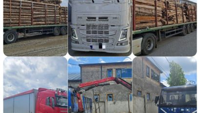 (AUDIO/FOTO) Rețea de transport ilegal de lemn, destructurată de polițiștii din Neamț