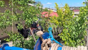 Tragedie la Huși. Un bărbat a murit după ce a căzut într-o fântână adâncă de 10 metri