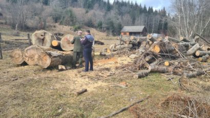 Peste 30 de percheziţii legate de tăieri ilegale de arbori, furt de lemne şi gestionarea deşeurilor şi anvelopelor uzate