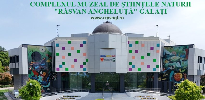 La Galați, grădină dedicată polenizatorilor, pe o suprafaţă de 500 de metri pătraţi. Emisiunea „Weekend cu prieteni” (3.05.2026)