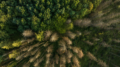 De Ziua Mediului, Parcul Natural Vânători Neamț arată cum poate funcționa echilibrul dintre protecția naturii, managementul forestier și comunitate