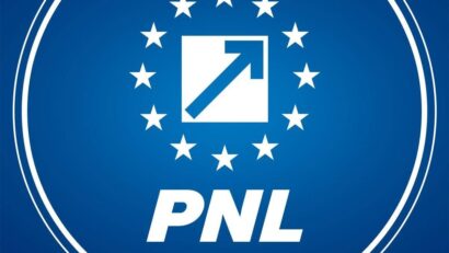 Liberalii nu vor susţine un guvern format de premierul desemnat Adrian Veştea