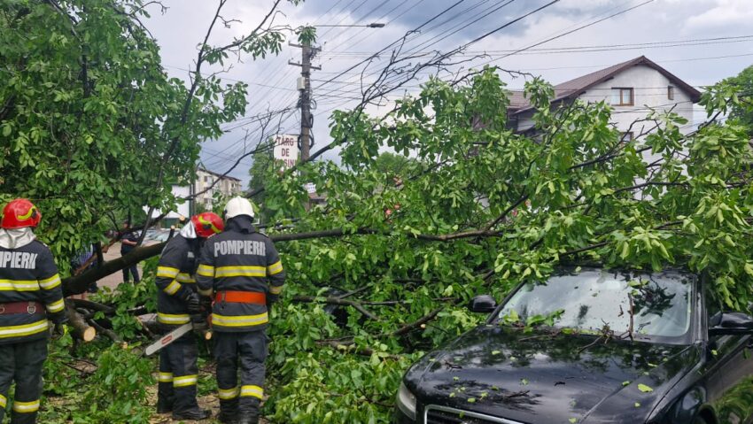 Neamț: Arbori doborâți de vânt, drumuri blocate și gospodării inundate după furtunile de noaptea trecută