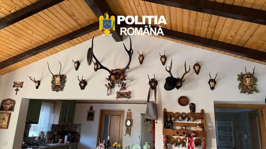 Suceava: 5 persoane reţinute într-un dosar privind nerespectarea regimului armelor şi muniţiilor şi braconaj cinegetic