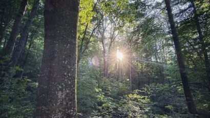 Iașul verde – acces, utilizare și potențial urban (context zile caniculă)