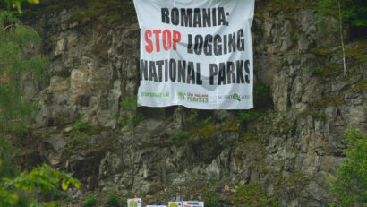 Curtea Europeană de Conturi auditează protecția naturii din România. Agent Green transmite un memoriu privind eșecul utilizării fondurilor europene pentru biodiversitate