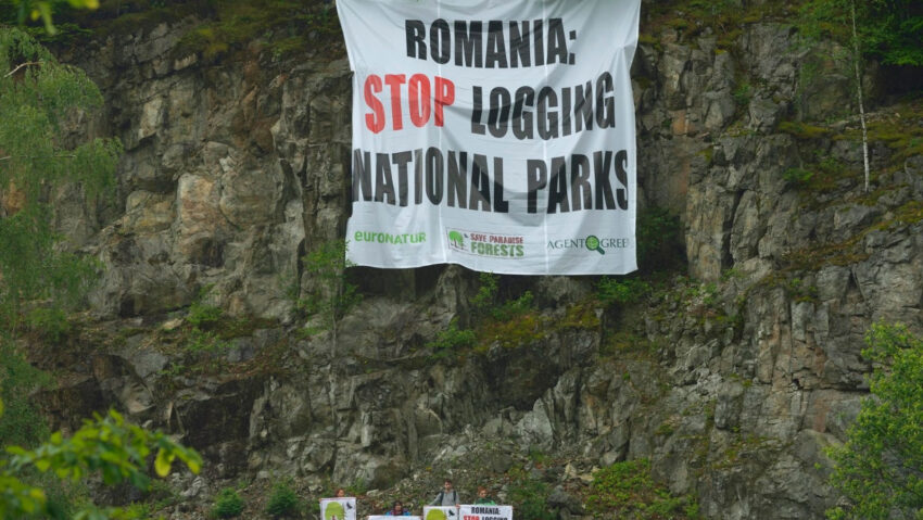 Curtea Europeană de Conturi auditează protecția naturii din România. Agent Green transmite un memoriu privind eșecul utilizării fondurilor europene pentru biodiversitate