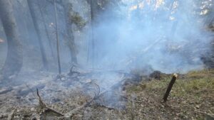 (FOTO) Neamț: Incendiu în Parcul Național Ceahlău