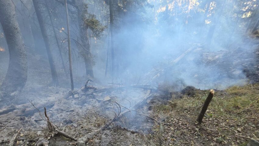 (FOTO) Neamț: Incendiu în Parcul Național Ceahlău