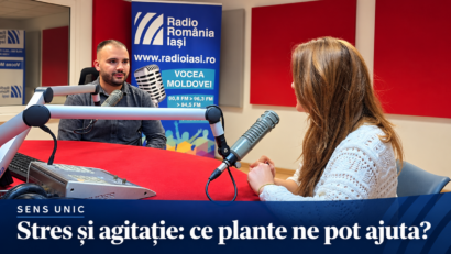 Sens Unic | Stres și agitație: ce plante ne pot ajuta să încetinim?