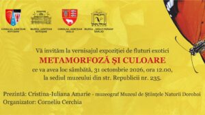 Muzeul „Vasile Pârvan” Bârlad: Expoziția „Metamorfoză și culoare”