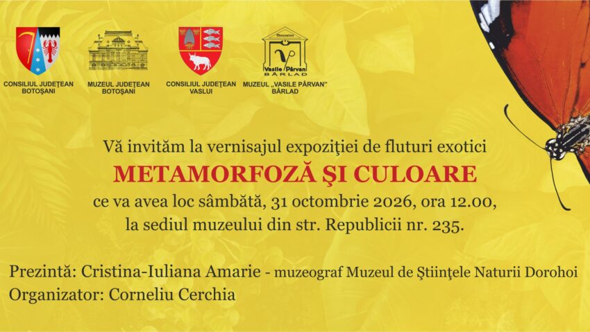 Muzeul „Vasile Pârvan” Bârlad: Expoziția „Metamorfoză și culoare”